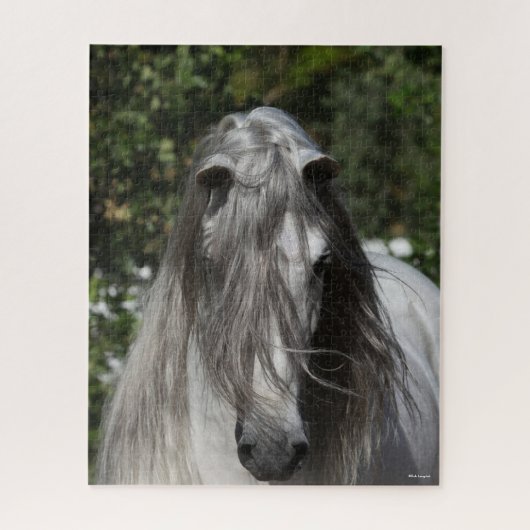 Grey Andalucian Stallion Headshot Long Mane Legpuzzel (Verticaal)