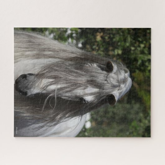 Grey Andalucian Stallion Headshot Long Mane Legpuzzel (Horizontaal)