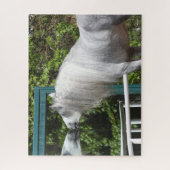 Grey Andalucian Stallion op zoek naar Mirror Legpuzzel (Verticaal)