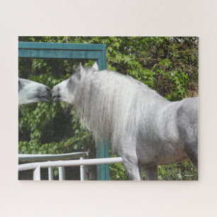 Grey Andalucian Stallion op zoek naar Mirror Legpuzzel