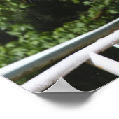 Grey Andalucian Stallion op zoek naar Mirror Poster (Hoek)