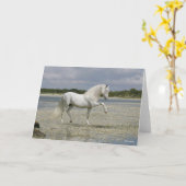 Grey Andalucian Stallion Standing In Lake Kaart (Gele Bloem)