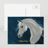 Grey Arabian Horse Briefkaart (Voorkant / Achterkant)