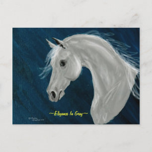 Grey Arabian Horse Briefkaart