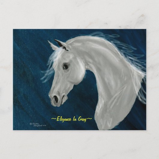 Grey Arabian Horse Briefkaart (Voorkant)