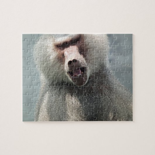 Grey Baboon kijkt naar je met zijn mond open Legpuzzel (Horizontaal)