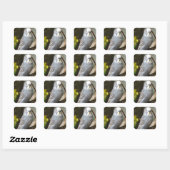 Grey Budgie Bird Vierkante Sticker (Vel)
