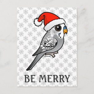 Grey Budgie Santa Claus Feestdagenkaart