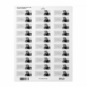 Grey Butterfly Damask Return Address Etiket (Full Sheet)