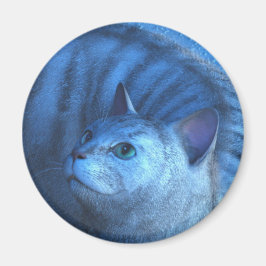 Grey Cat 4 Magnet