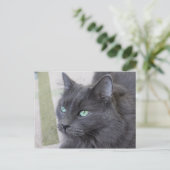 Grey cat briefkaart (Staand voorkant)