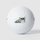 Grey Cat Dierenvriend Kat Kitten Pet Golfballen (Voorkant)