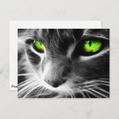 Grey Cat Green Eyes Briefkaart (Voorkant / Achterkant)