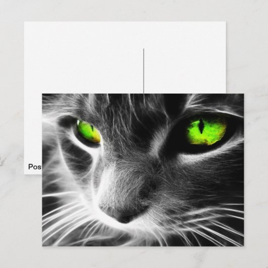 Grey Cat Green Eyes Briefkaart (Voorkant / Achterkant)