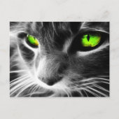 Grey Cat Green Eyes Briefkaart (Voorkant)