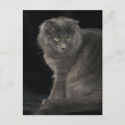 Grey Cat Long Hair Russisch Blauw Kat Kitten Cute Briefkaart (Voorkant)