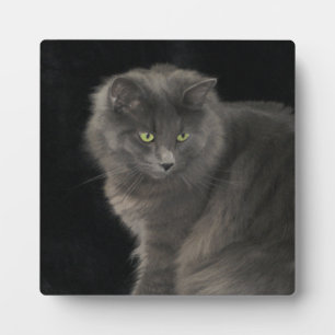 Grey Cat Long Hair Russisch Blauw Kat Kitten Cute Fotoplaat