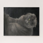 Grey Cat Long Hair Russisch Blauw Kat Kitten Cute Legpuzzel (Horizontaal)