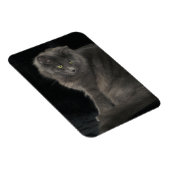 Grey Cat Long Hair Russisch Blauw Kat Kitten Cute Magneet (Rechterzijde)