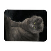 Grey Cat Long Hair Russisch Blauw Kat Kitten Cute Magneet (Horizontaal)