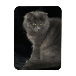 Grey Cat Long Hair Russisch Blauw Kat Kitten Cute Magneet