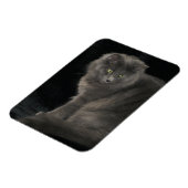 Grey Cat Long Hair Russisch Blauw Kat Kitten Cute Magneet (Linkerzijde)