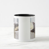 Grey Cat Lying in Pot, Olargues, Herault, Frankrij Mok (Midden)