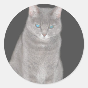 Grey Cat Sticker