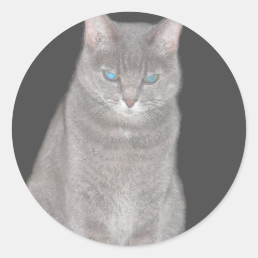 Grey Cat Sticker (Voorkant)