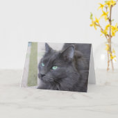 Grey cat wenskaart kaart (Gele Bloem)