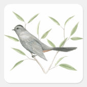 Grey Catbird Vogel Art Sticker (Voorkant)