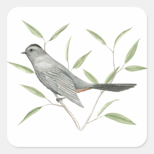 Grey Catbird Vogel Art Sticker (Voorkant)