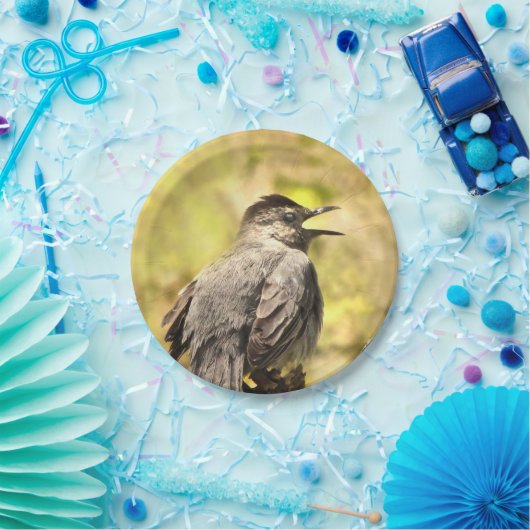 Grey Catbird Zingend zijn Bord van Song Paper (Feest)