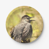 Grey Catbird Zingend zijn Bord van Song Paper (Voorkant)