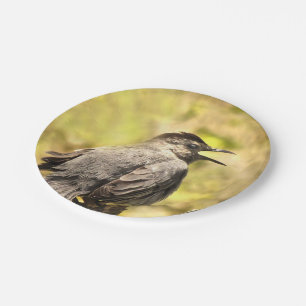 Grey Catbird Zingend zijn Bord van Song Paper