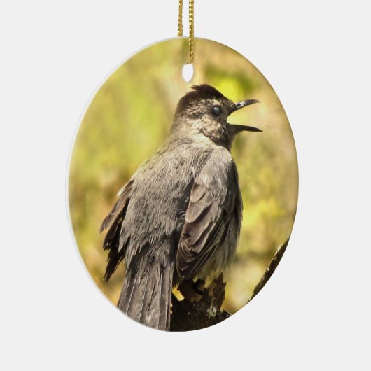 Grey Catbird Zingend zijn Song Ornament (Rechts)