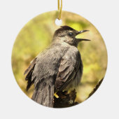 Grey Catbird Zingend zijn Song Ornament (Voorkant)