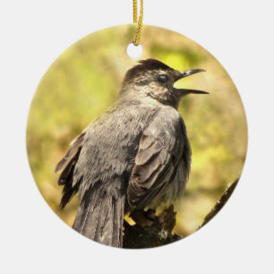 Grey Catbird Zingend zijn Song Ornament