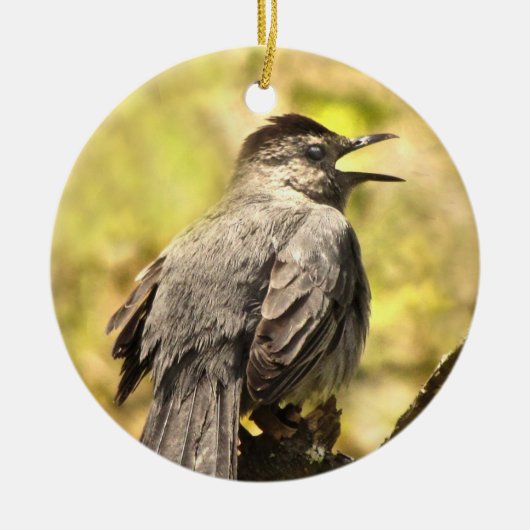 Grey Catbird Zingend zijn Song Ornament (Voorkant)