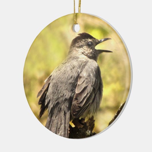 Grey Catbird Zingend zijn Song Ornament (Links)
