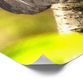 Grey Catbird Zingend zijn Song Poster (Hoek)