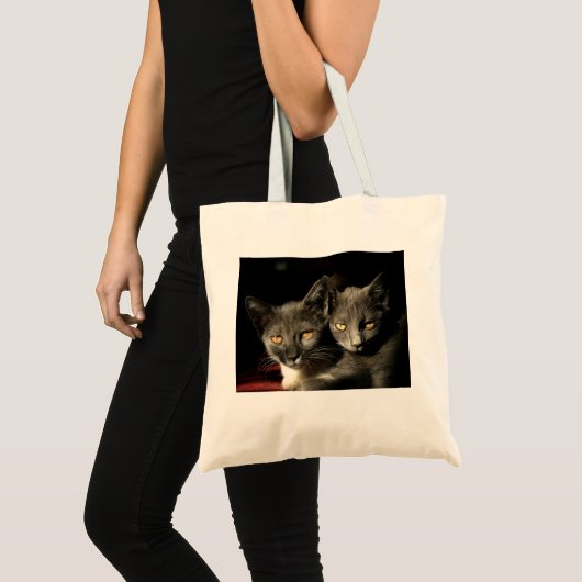Grey Cats Foto Budget Tas (Voorkant (product))