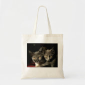 Grey Cats Foto Budget Tas (Voorkant)