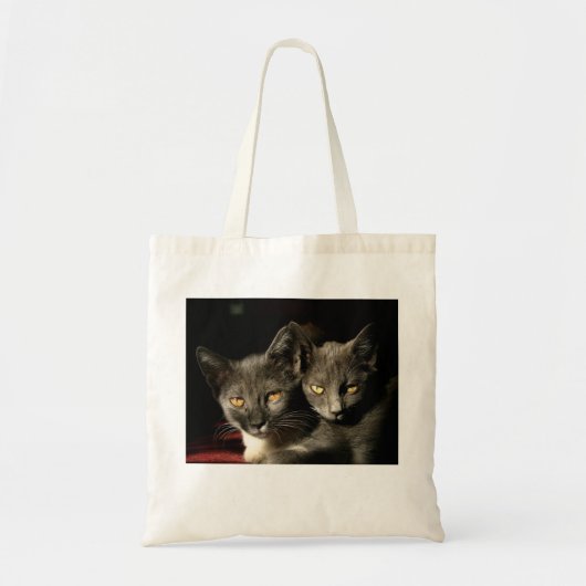 Grey Cats Foto Budget Tas (Voorkant)