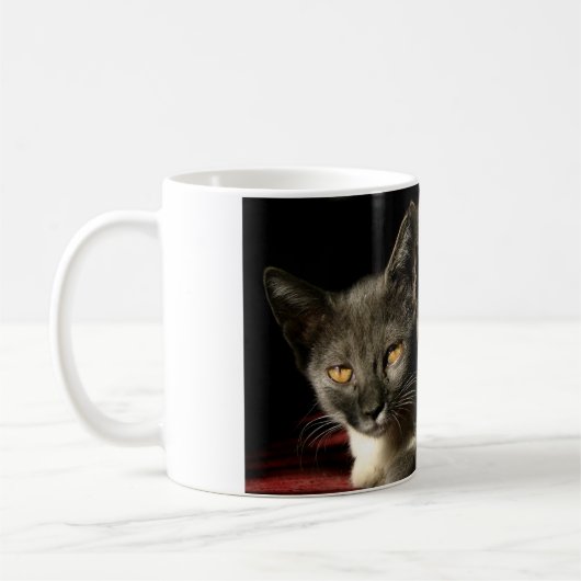 Grey Cats Foto Mok (Links)