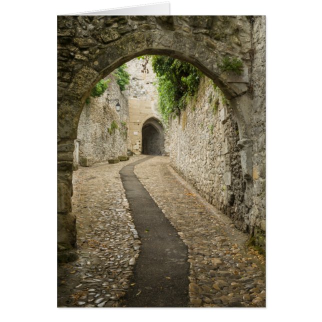 Grey Cobblestone street, Frankrijk (Voorkant)