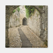 Grey Cobblestone street, Frankrijk Magneet (Voorkant)