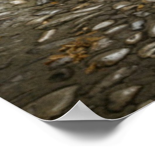 Grey Cobblestone street, Frankrijk Poster (Hoek)