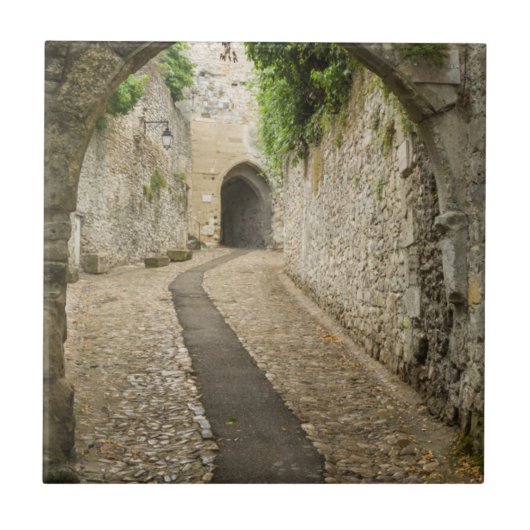 Grey Cobblestone street, Frankrijk Tegeltje (Voorkant)