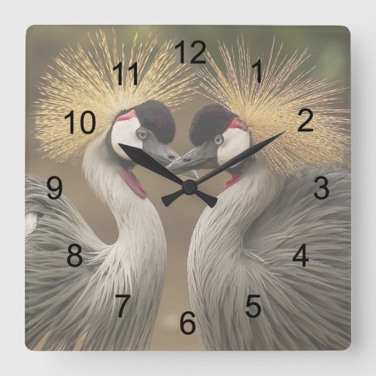 Grey Crowned Crane Love Vierkante Klok (Voorkant)